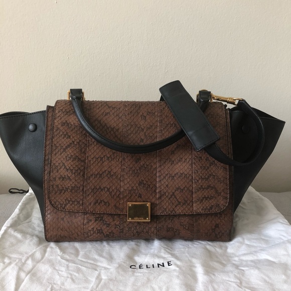 Celine Handbags - 💫SOLD💫🎉🎊HOST PICK🎊🎉 Celine Trapeze Python